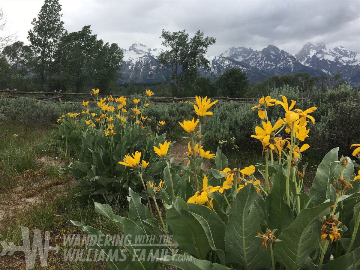 Travel Challenge: Day&nbsp;8