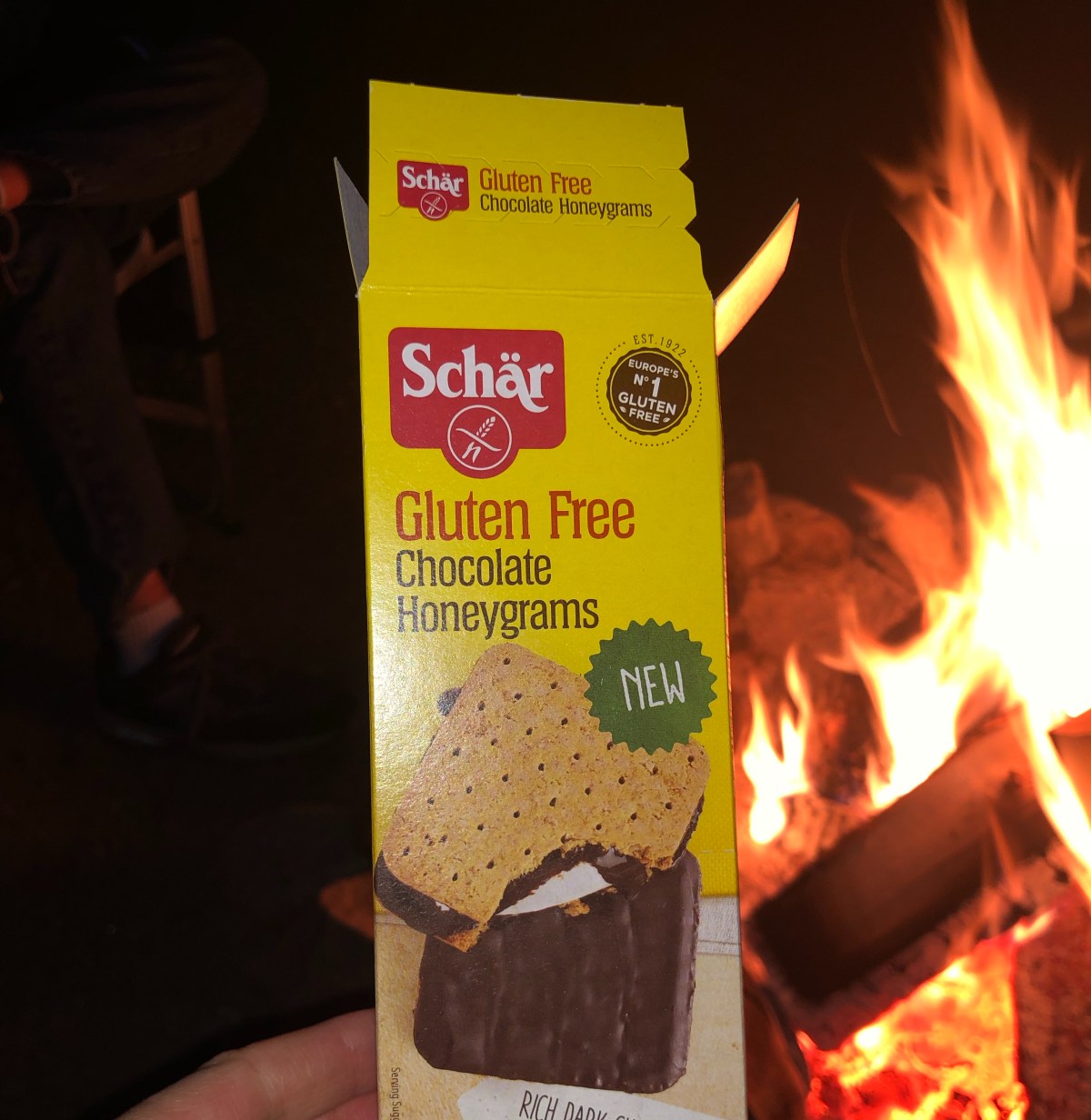 Where Did You Go, Williams&nbsp;Family?