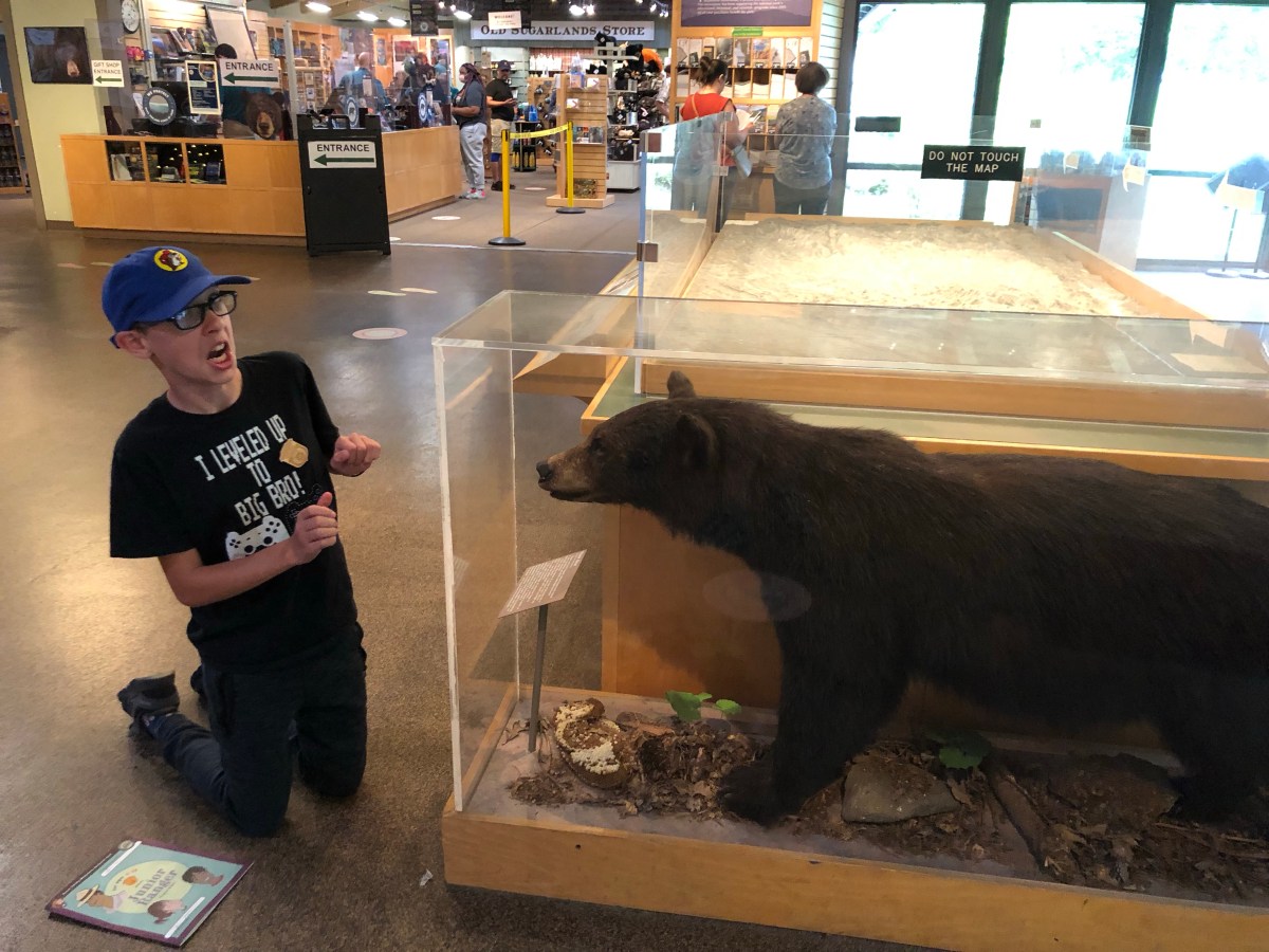 Day 3: Great Smoky Mountains National&nbsp;Park