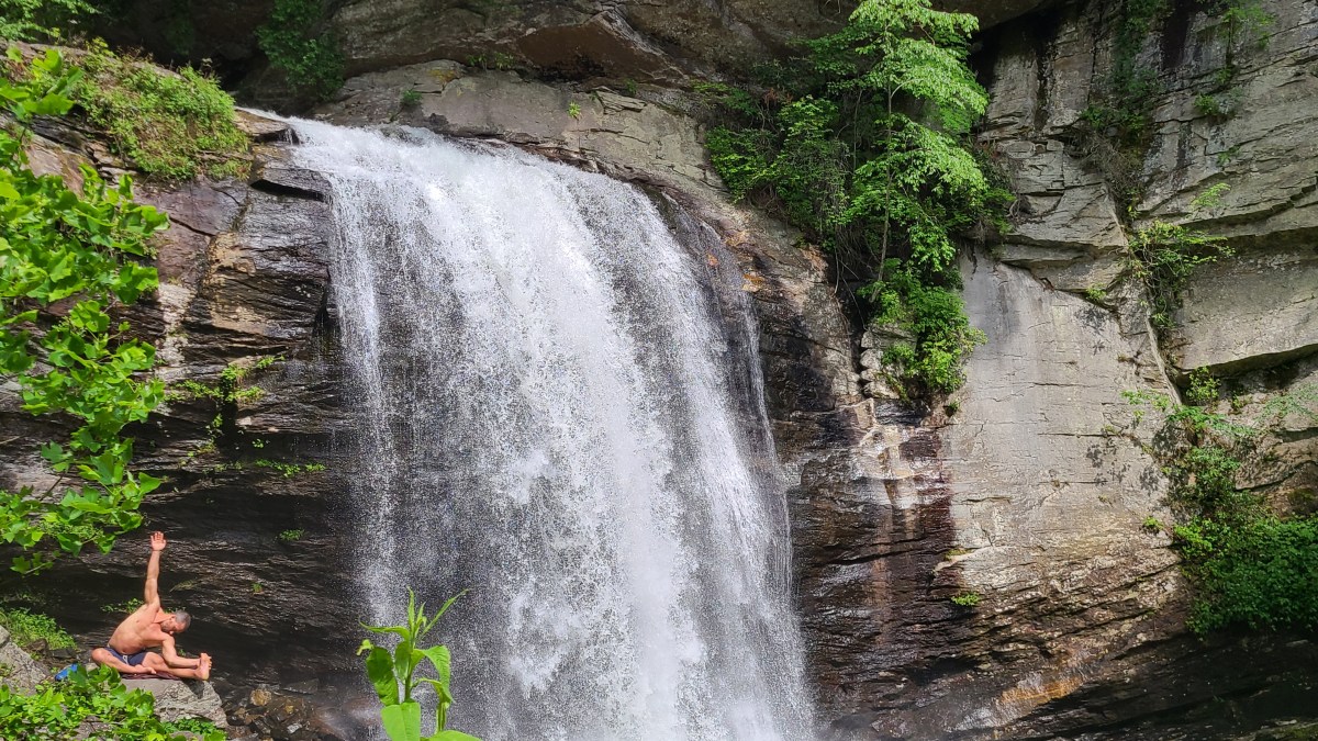 Day 7: Pisgah Forest & The Cradle of&nbsp;Forestry